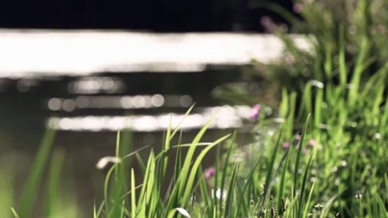 Lars Zacharias Video & Audio Design