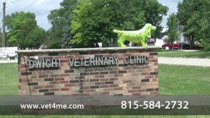 Welcome To Dwight Veterinary Clinic Video Dailymotion