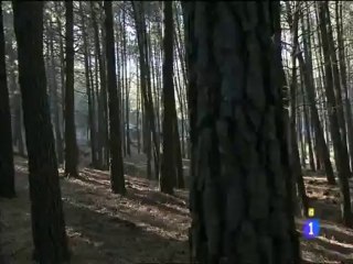 GONZALO Y SATUR EN LA GUARIDA CAPITULO 60 19 09 2013