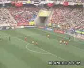 Ohhh.... What a Beautiful Shorts