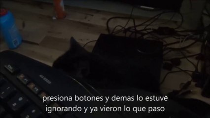 Las travesuras del senor gato asi se jode un gameplay