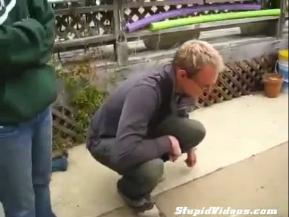 Tavuk nasıl etkisiz hale getirilir_