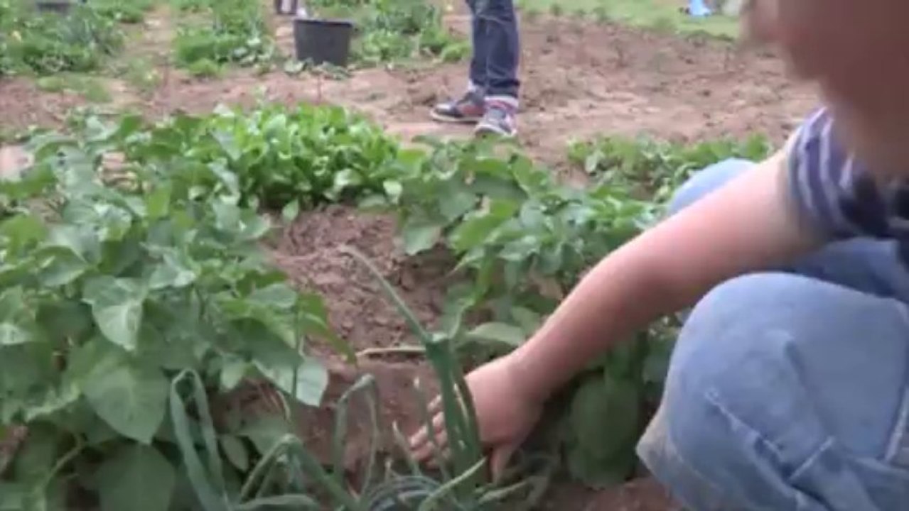 G.B.M. afl. 80 Gert Olthof