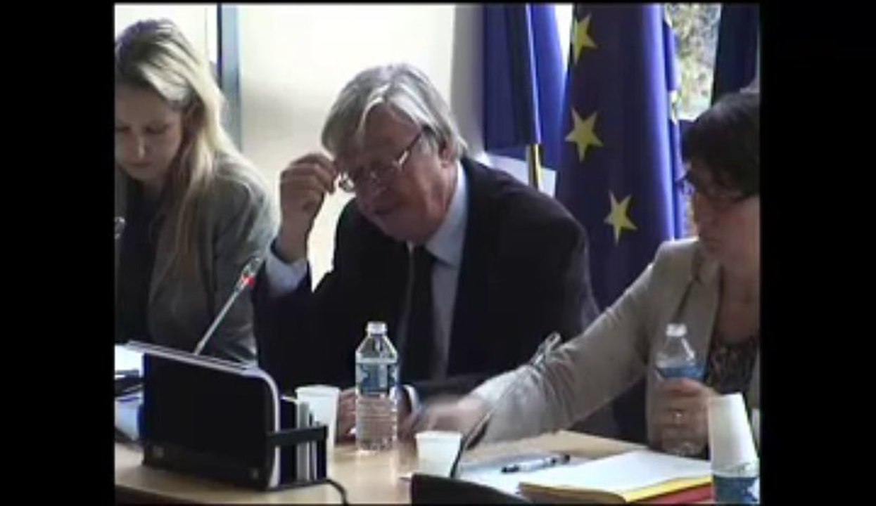 Commission des affaires européennes : Intégration des Roms; Aides aux aéroports régionaux