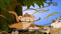 Jataka Tales - Jackal Stories - The Wise Jackal and the Stupid Monkeys