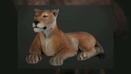Lifelike Animals