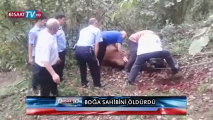 Trabzon'da boğa sahibini öldürdü