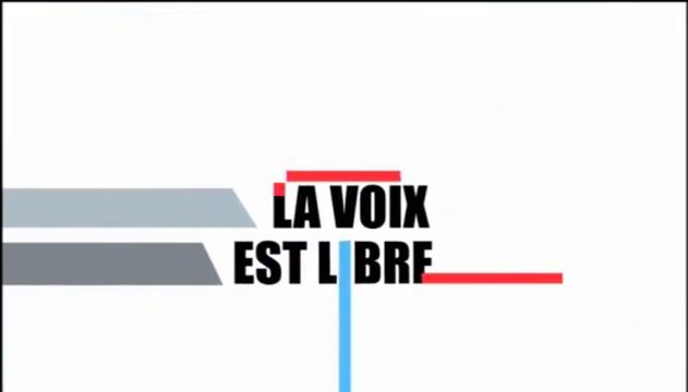 Politique culturelle en Rhône-Alpes, Jean-François Marguerin dans La voix est libre.