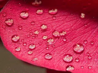 TÜLAY ÖZER-GÜLDEN KARABÖCEK--43 dakikadır