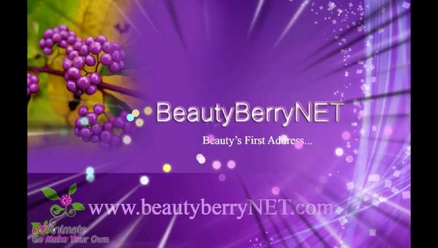 ARAMIS Classic ტუალეტის წყალი სპრეი