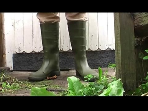 Canvassing... canvassen... Politiker im Wahlkampf. Erklarung von Bauer Heinrich Schulte-Brommelkamp