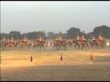 BSF jawans with a group of camels performing a camel show