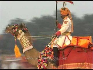 Скачать видео: BSF protects India's desert borders, on camels!