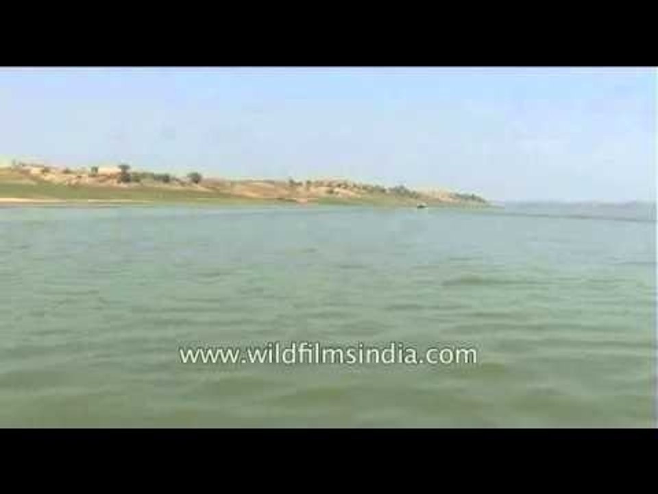 The most pollution free river of India - the Chambal