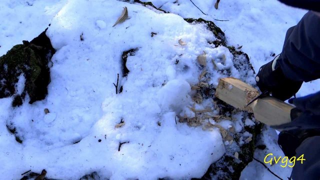 Тест по дереву: Condor Sapien+