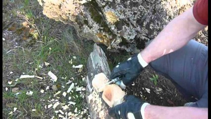 Рез по дереву: Ontario Rat Folder Model 1