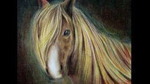 COMO DIBUJAR UN CABALLO / COMO PINTAR CABALLOS PASO A PASO