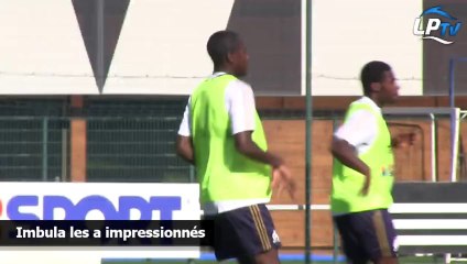 Imbula les a impressionnés