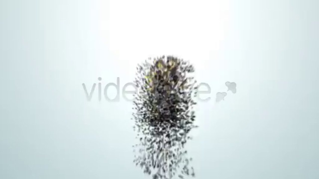 Creation. - After Effects Template