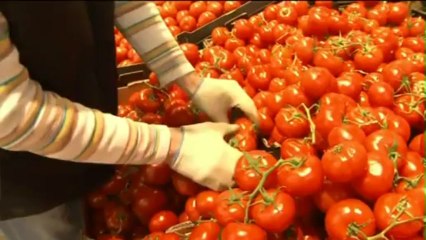 Le scandale du gaspillage alimentaire