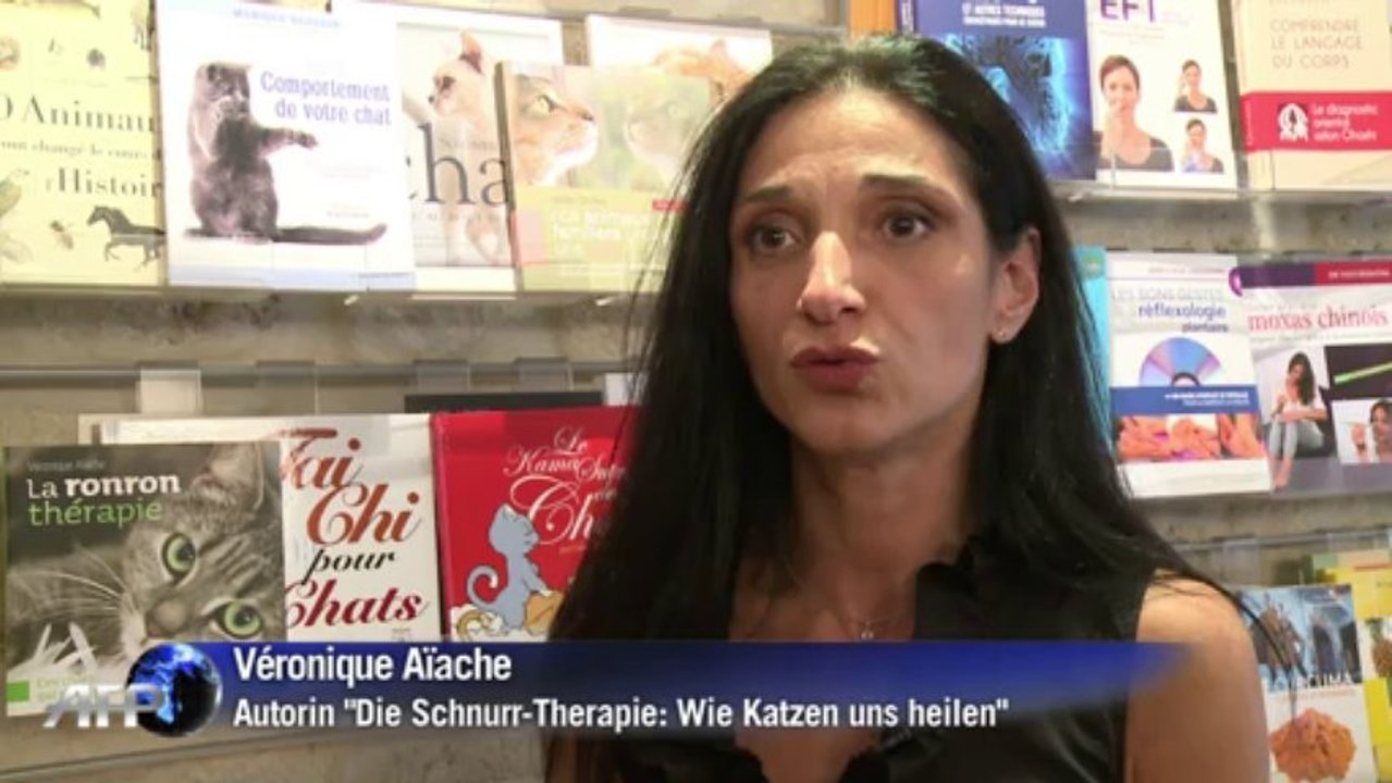 Streicheleinheiten im café: schmusekatzen erobern frankreich