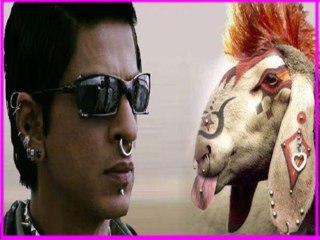 WTF A Goat Named As Shahrukh Khan