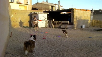 Yo tambien les doy caña...