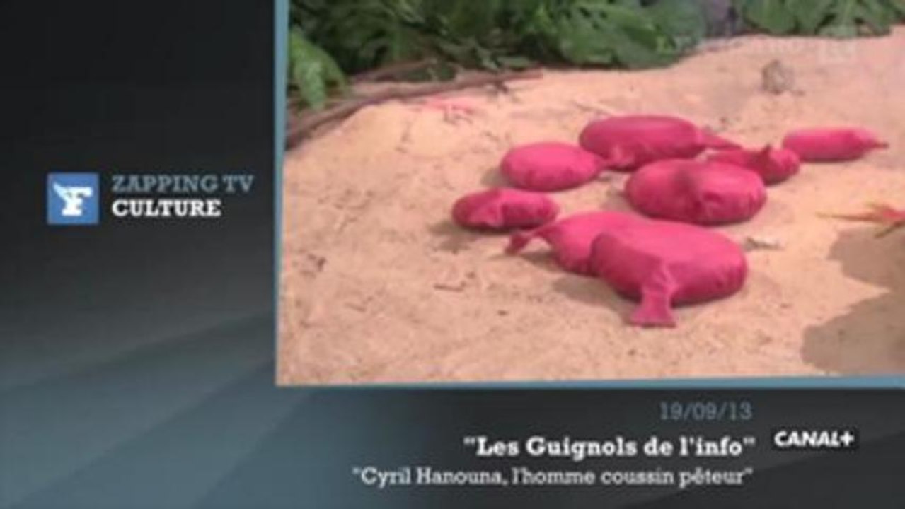 Zapping TV - Anthony Delon : "Mon père fait une grosse boulette tous les 15 ans"