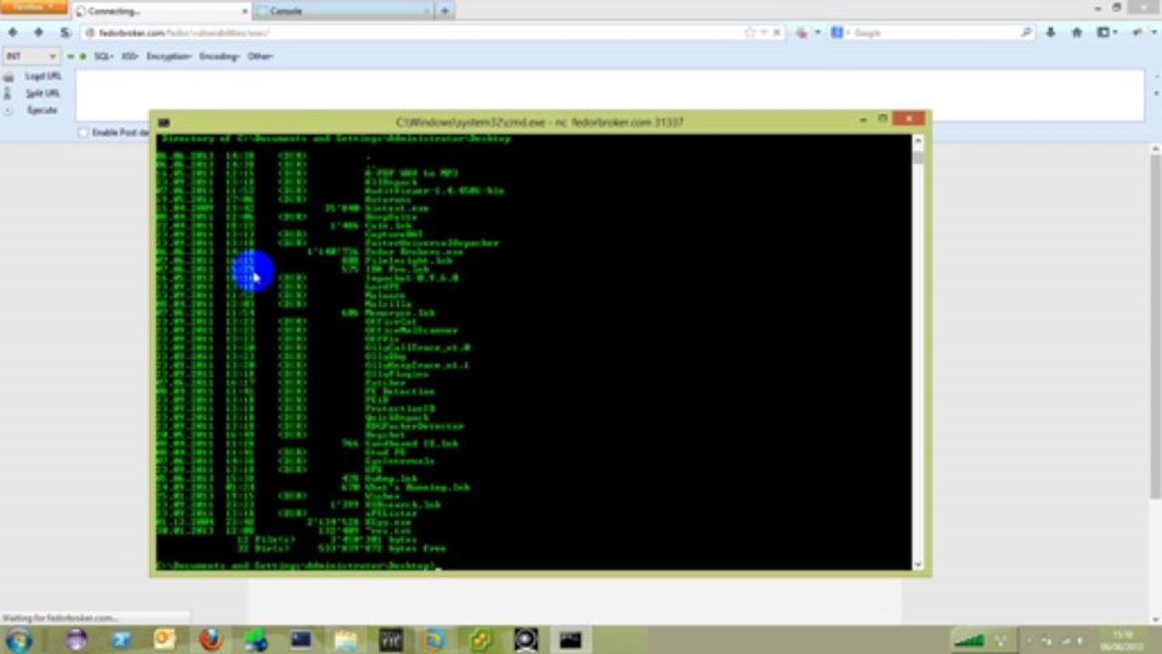 Welcome to the World Wild Web: 2. Command Injection