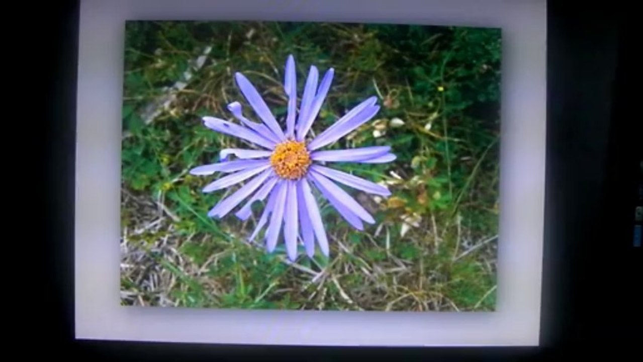 Balade à Naucelle au pays des 100 vallées