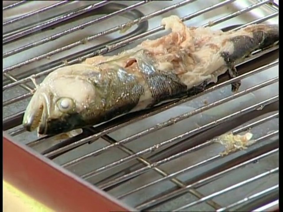 IZGARA - MANGAL ALMADAN ÖNCE MUTLAKA İZLEYİNİZ !.