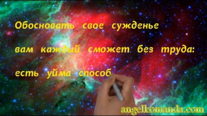 Все правы, и никто не прав...