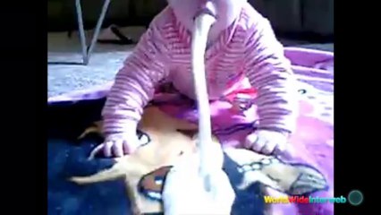 Baby Headbangers Ball