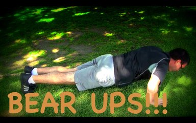 Bear Ups!!!- Bearobics: A Beary Good Workout