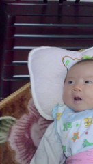 Công ty phòng mối tốt nhất Bắc Ninh