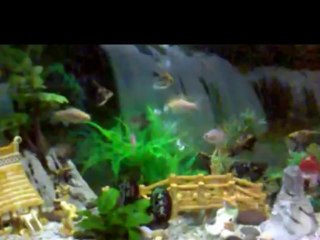 Cty chống thấm nhà vệ sinh tại quận 2**0936890585**