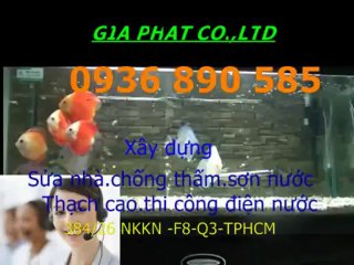 Dv chống thấm nhà vệ sinh tại quận 3**0936890585**