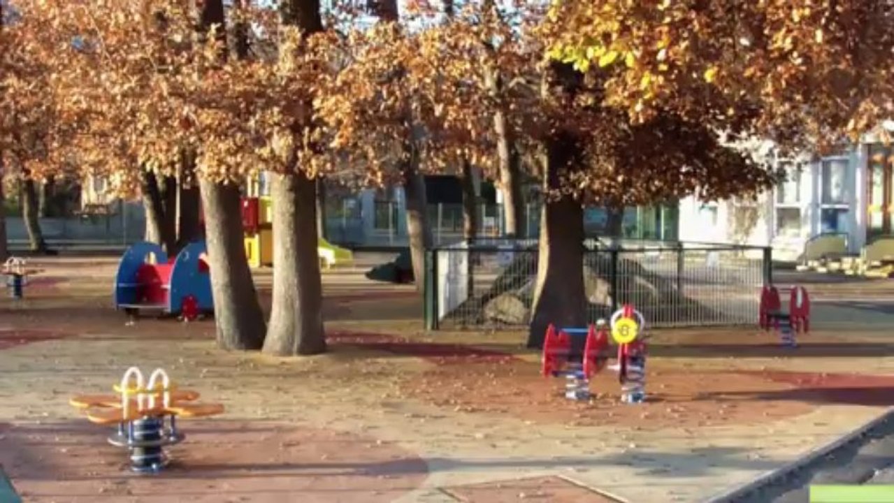 Balade automnale dans Champ/drac