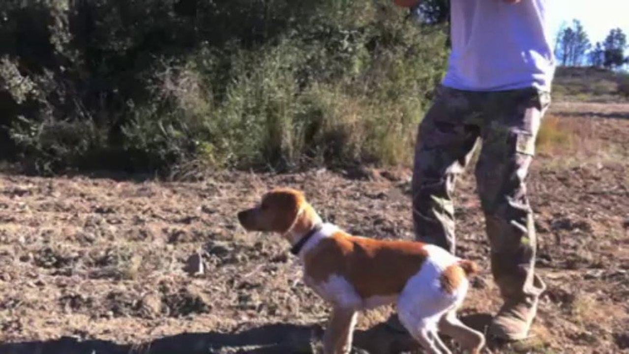 Les premiers pas "Ilan des vallées du Roussillon"