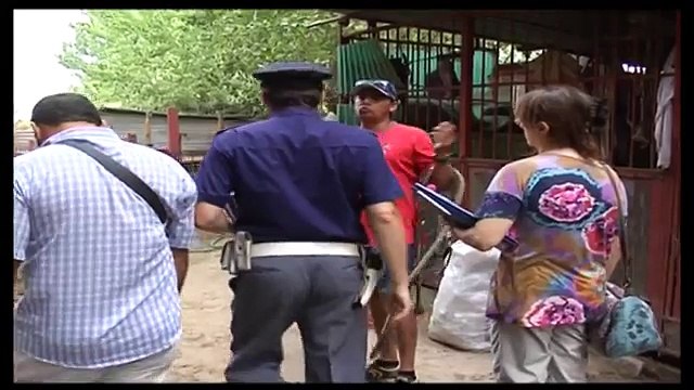Napoli - Sequestro di animali nel giorno di San Gennaro (20.09.13)