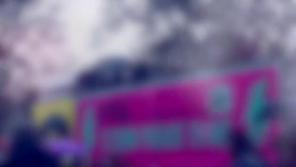 TECHNO PARADE Edition 2013 / J&C Visuel Event