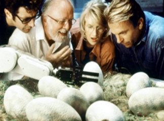 pour toi élève de term' option facultative