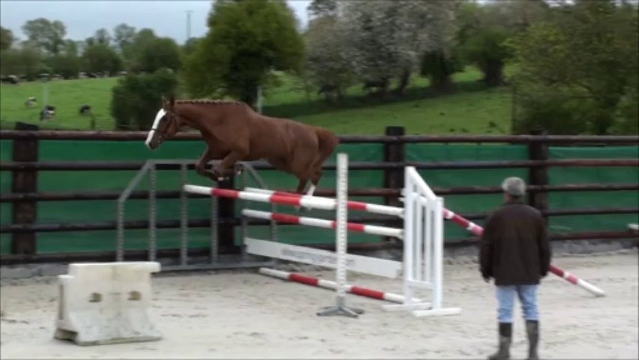 Anakynn selection Fences