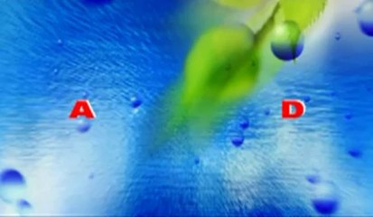 Pa ty jeta ska kuptim (Official Video)