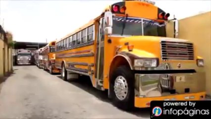 Tatito's Transport Service Inc. | Transportación escolar Carolina
