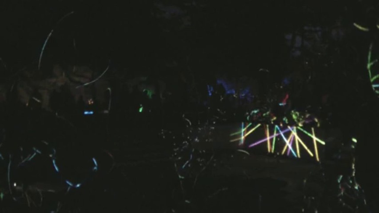 ATSARA in LUMINA / kinetic light installation / installation lumino cinétique