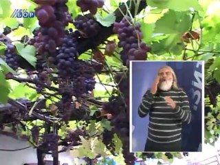 Vesti na znakovnom jeziku, 22 septembar 2013.