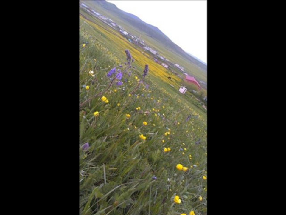 Ardahan Büyüksütlüce Köyü @ MEHMET ALİ ARSLAN Tv