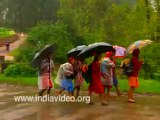 Monsoon Rainfall in Kerala India