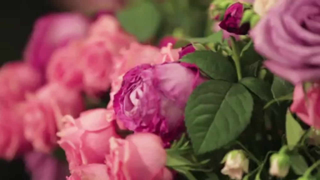 Cartes Postales de Fashion Week: Défilés printemps-été 2014 à Milan, épisode 5